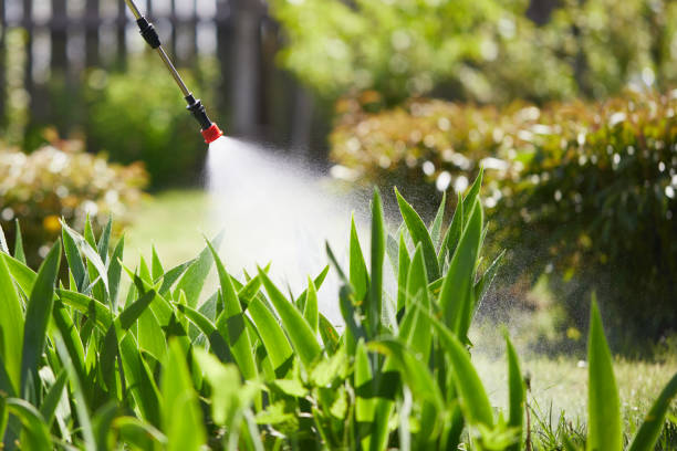24/7 Emergency Wasp Removal experts in Trenton, GA