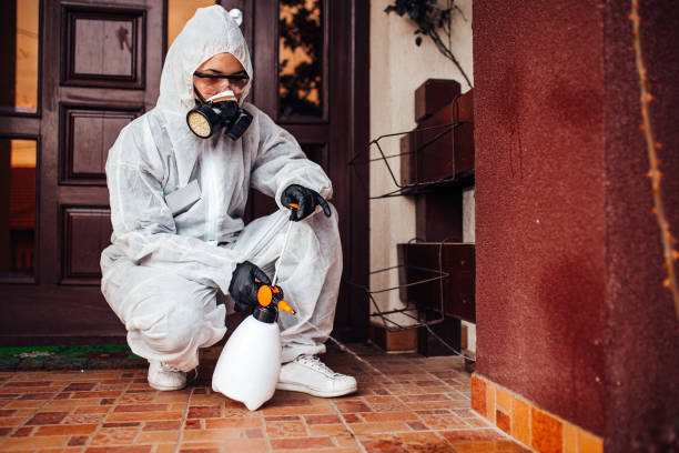 Reliable Wasp Removal contractor in Trenton, GA by Show Me Pest Control