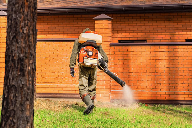 Top rated local Wasp Removal specialists in Trenton, GA